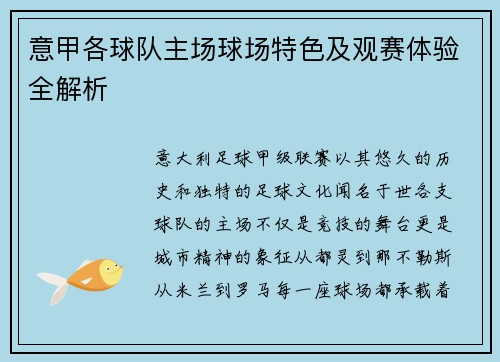 意甲各球队主场球场特色及观赛体验全解析