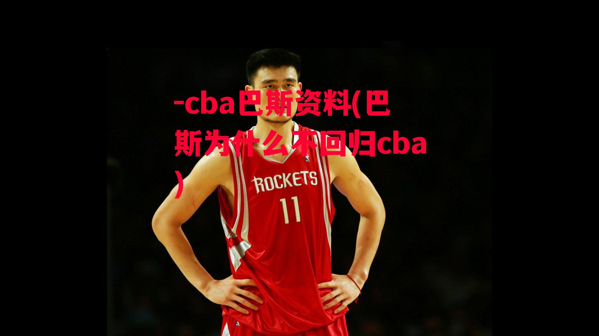 -cba巴斯资料(巴斯为什么不回归cba)