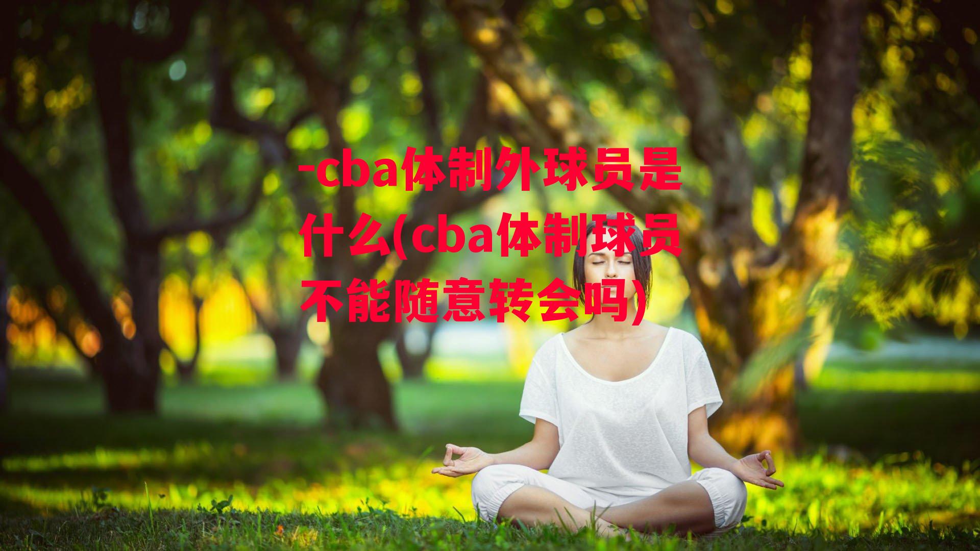 -cba体制外球员是什么(cba体制球员不能随意转会吗)